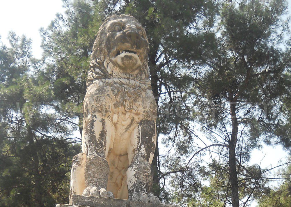 Lav iz Amfipolisa