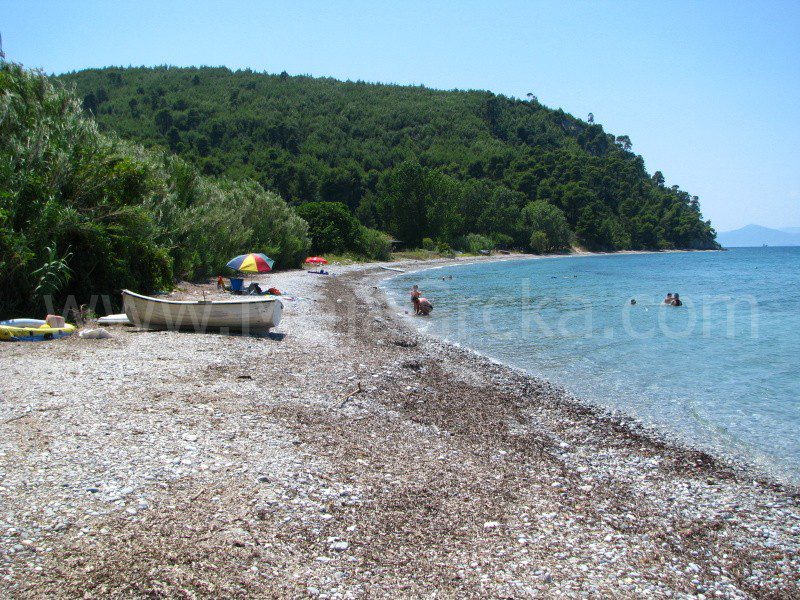 Agriovotano-Koutsoubri-Koutsompri-beach-plaza-Evia-Evija-grcka-greece-www.mojagrcka-5